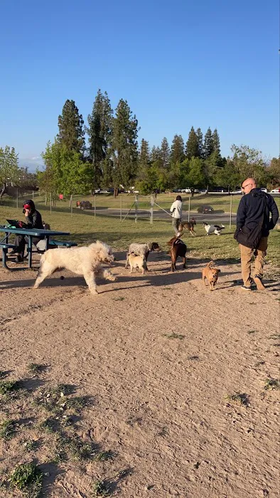 Woodward Dog Park 4