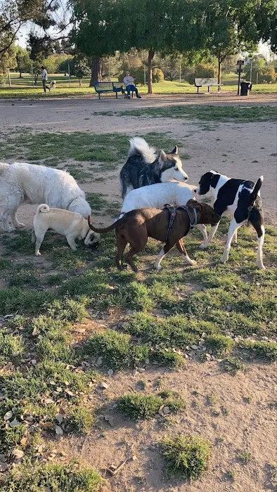 Woodward Dog Park 2