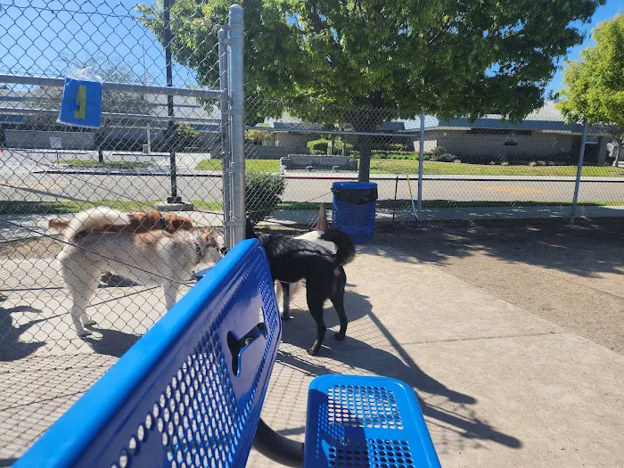Todd Beamer Dog Park 2