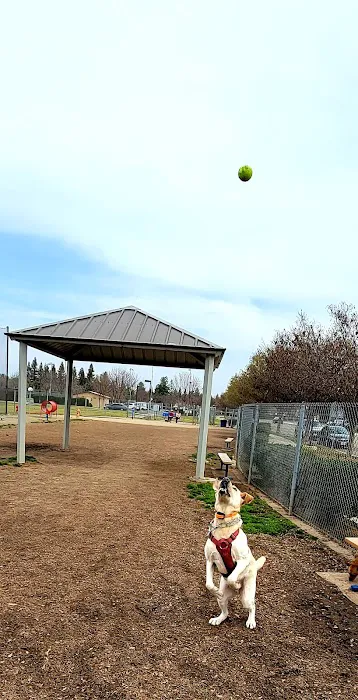 Todd Beamer Dog Park 3