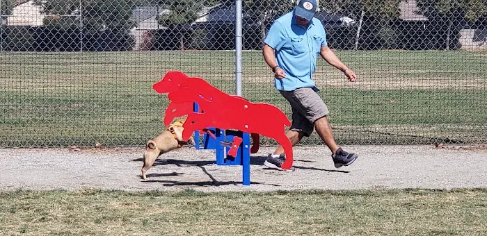 Todd Beamer Dog Park 8