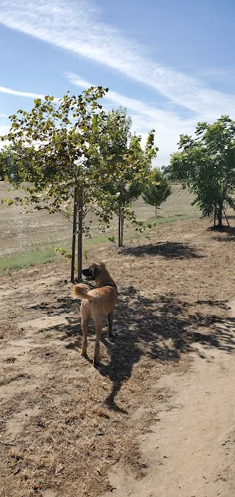 Kingsburg Dog Park 2