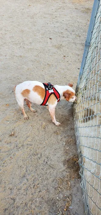 Kingsburg Dog Park 6