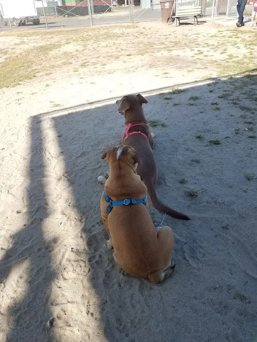 Kingsburg Dog Park 9