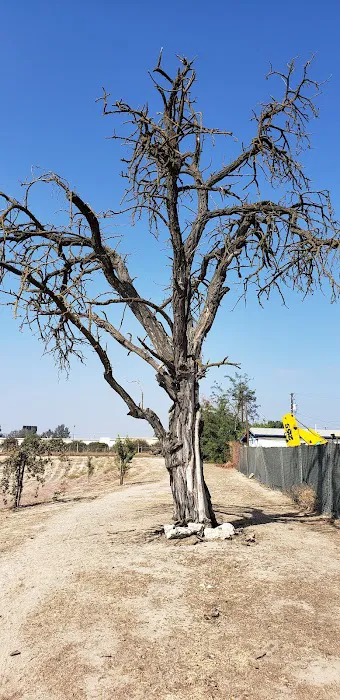 Kingsburg Dog Park 5
