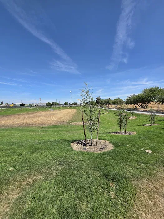 Kingsburg Dog Park 4