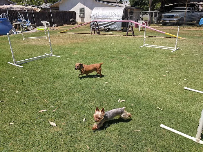 Kingsburg Dog Park 7