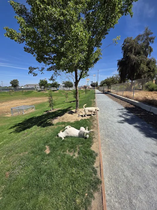 Kingsburg Dog Park 8