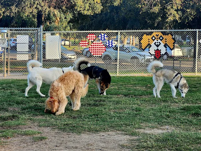 Cody Kelly Dog Bark Park 8