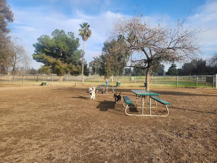 Cody Kelly Dog Bark Park 7