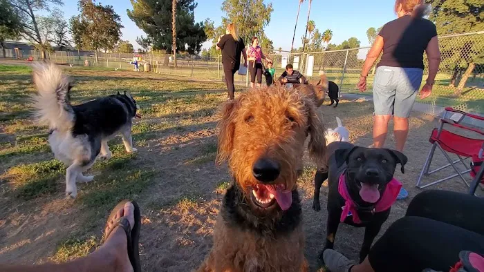 Plaza Park Bark Park 4