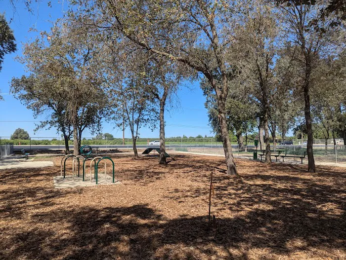 Mooney Grove Dog Park 5