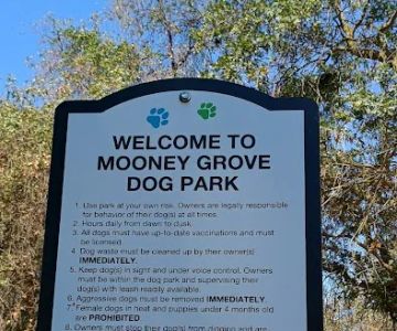 Mooney Grove Dog Park
