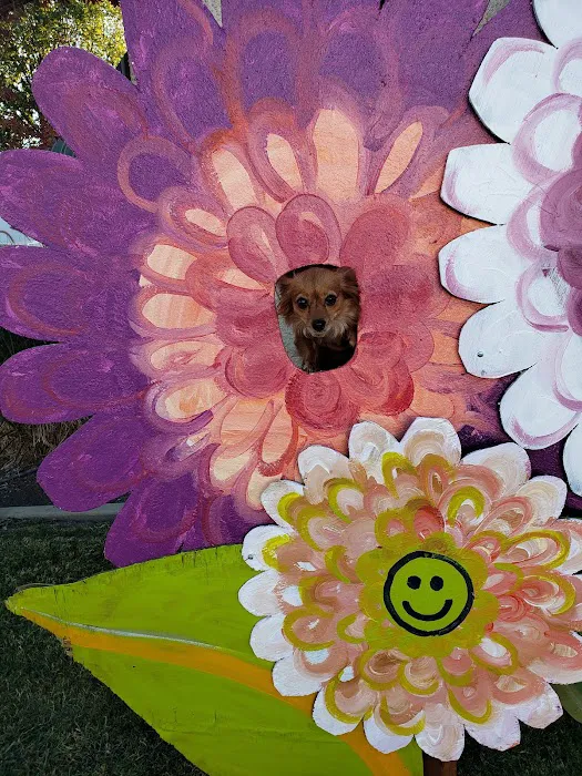 Exeter Bark Park 1
