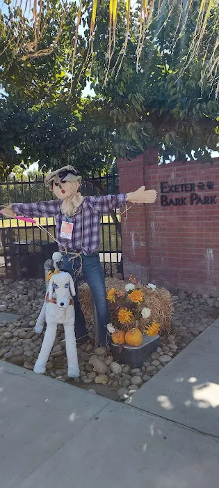 Exeter Bark Park 2