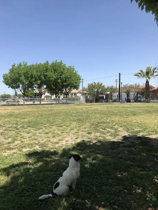 Exeter Bark Park 7