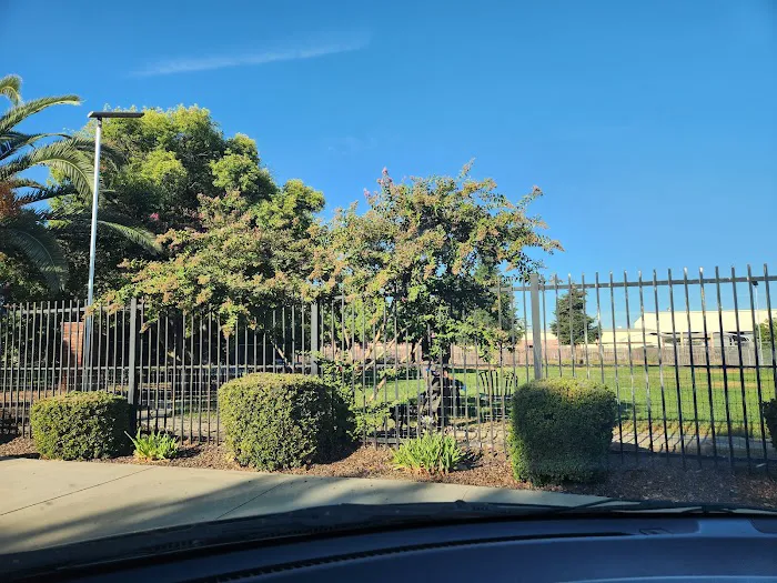 Exeter Bark Park 3