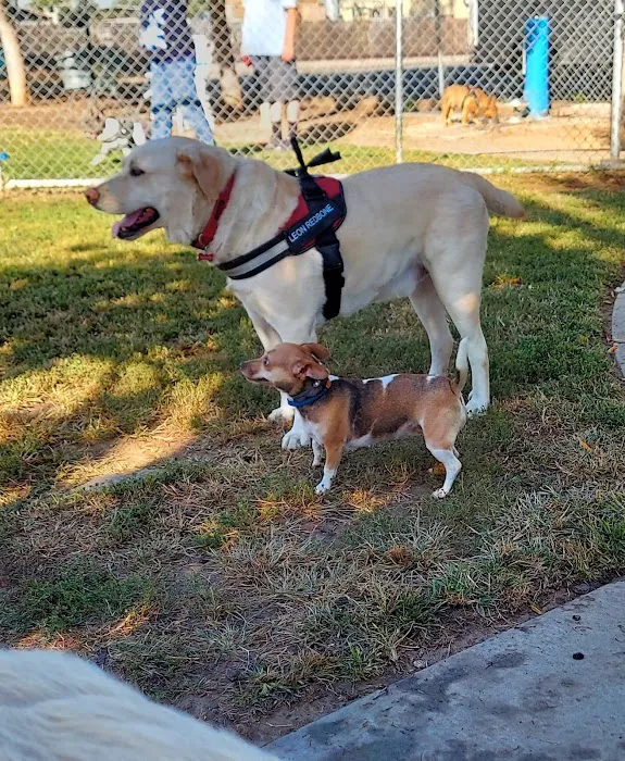 Exeter Bark Park 6