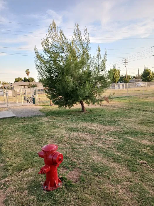 Lindsay Kiwanis Paw Park 8