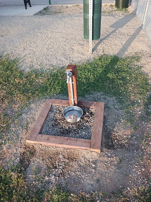 Lindsay Kiwanis Paw Park 5