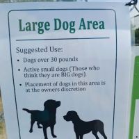 Lindsay Kiwanis Paw Park ico