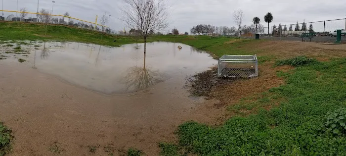 Porterville Dog Park 7