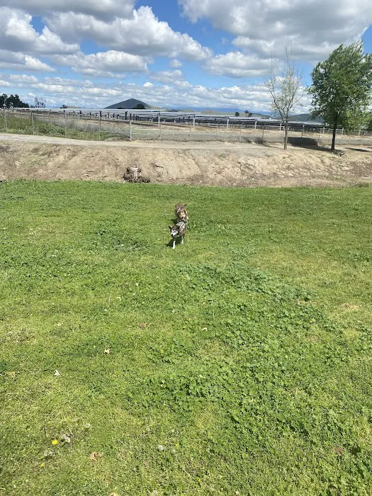 Porterville Dog Park 4