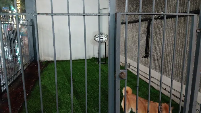 Dog Relief Area 3