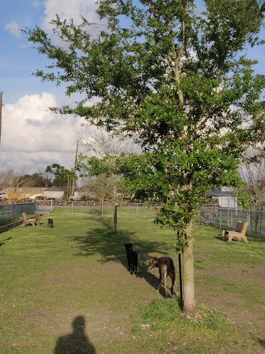 Gretna Dog Park 7