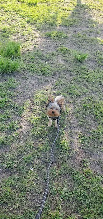 Gretna Dog Park 2