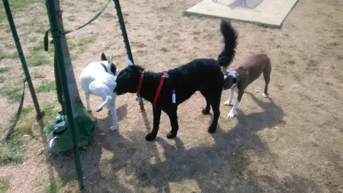 Wisner Dog Park 3