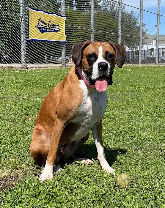 Wisner Dog Park 2