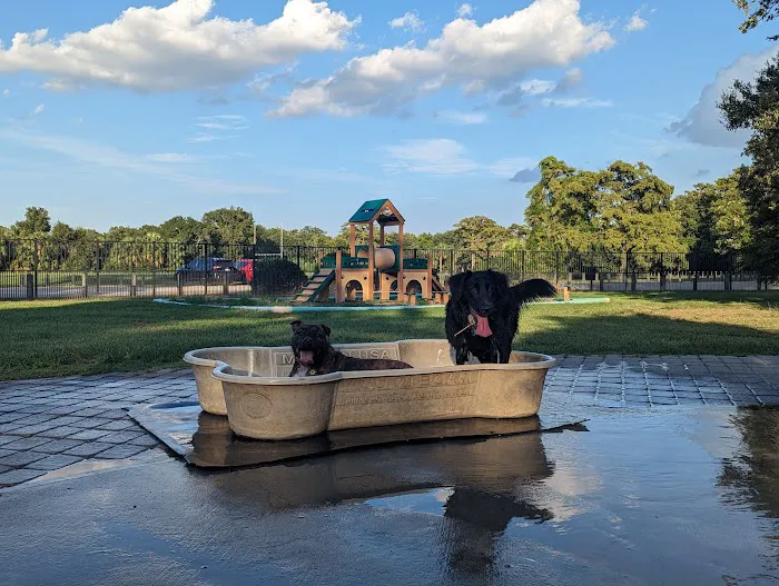 NOLA City Bark 9