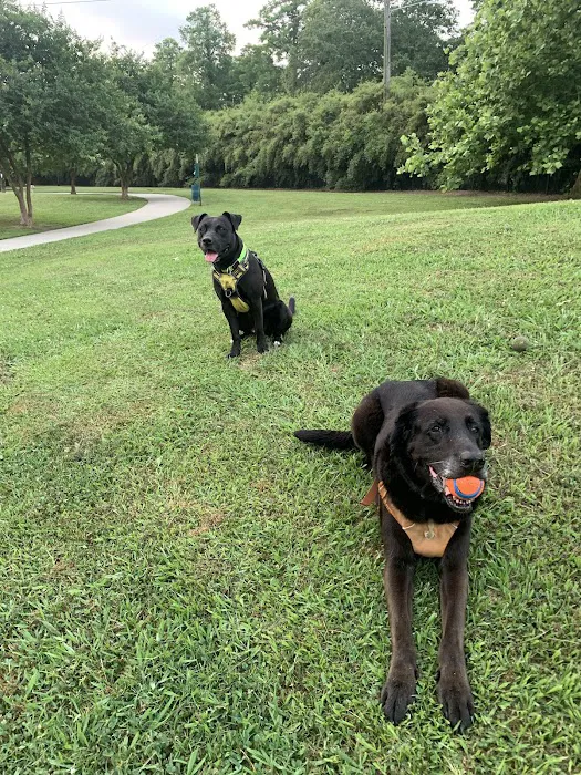 NOLA City Bark 2