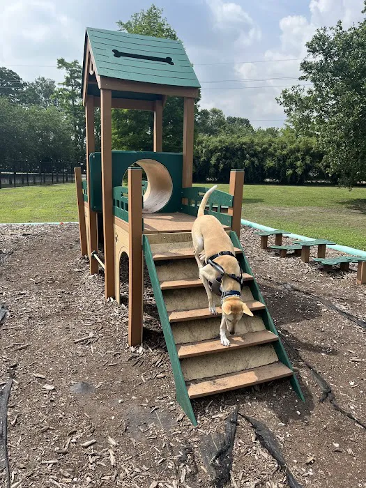 NOLA City Bark 1