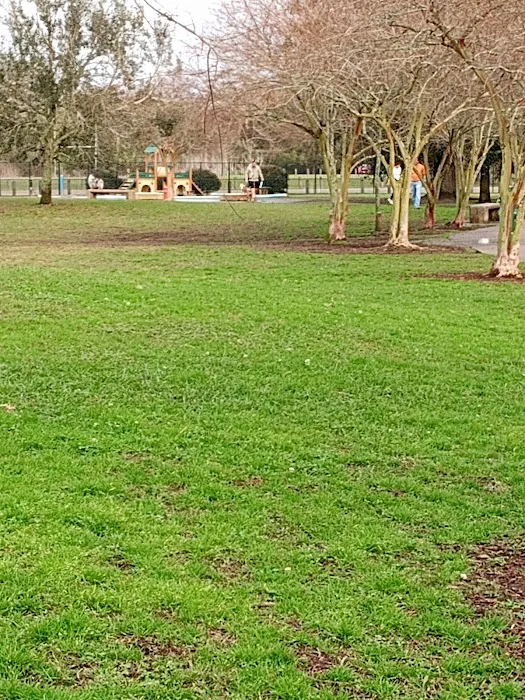 NOLA City Bark 4