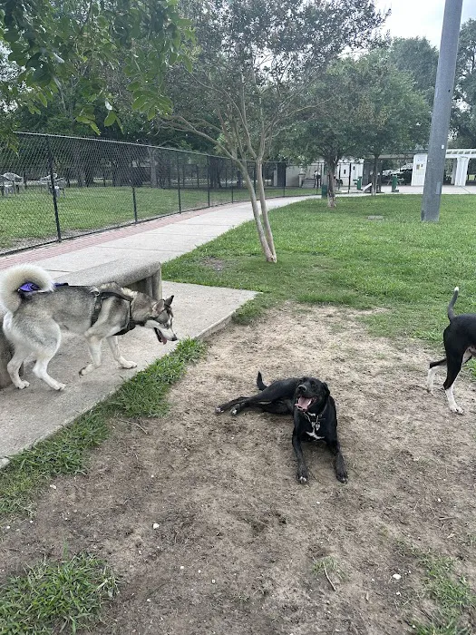NOLA City Bark 6