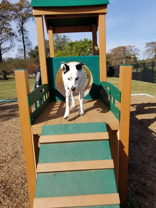 NOLA City Bark 8