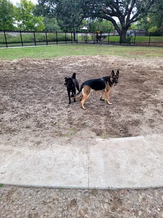 Pontiff Park Dog Park 6