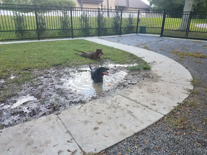 Pontiff Park Dog Park 8