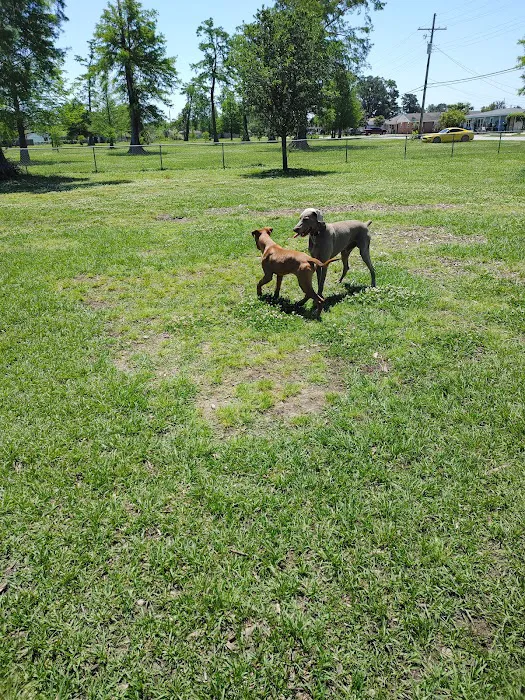 Gretna Dog Park 5