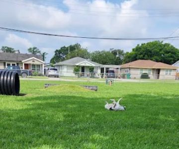 Gretna Dog Park