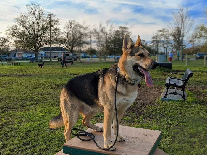 Gretna Dog Park 8