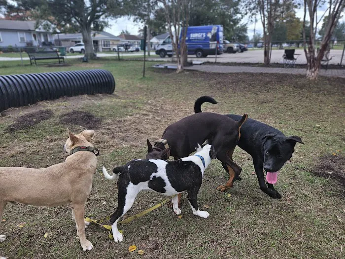 Gretna Dog Park 7