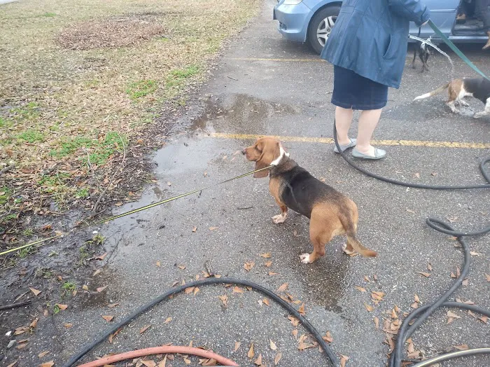 Gretna Dog Park 3