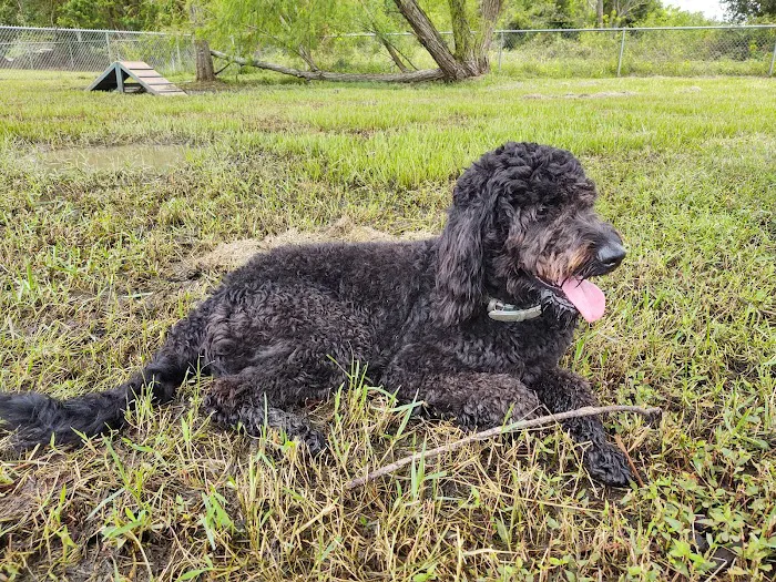 Gretna Dog Park 10