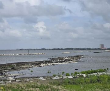 Bonnabel Dog Park