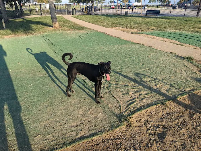 Bonnabel Dog Park 4
