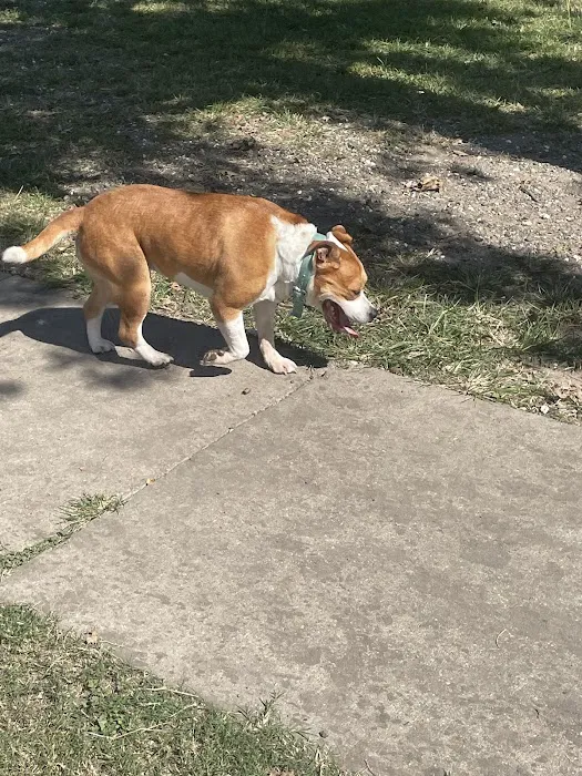 Lafreniere Dog park 4