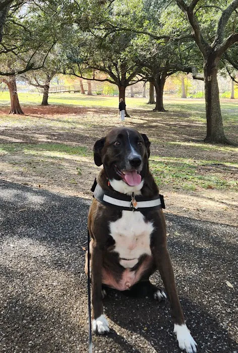 Lafreniere Dog park 1